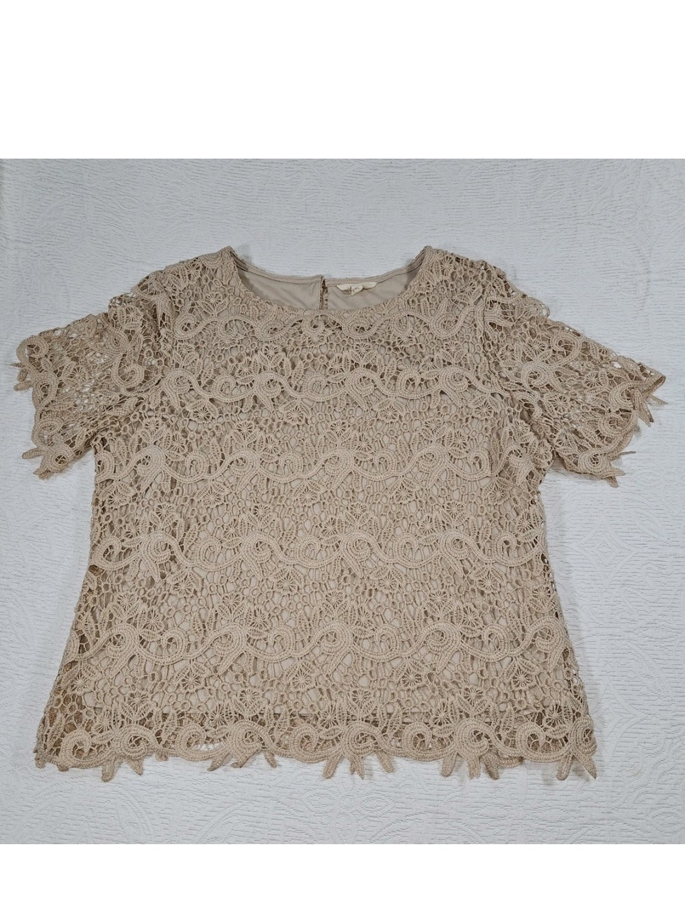 Cream Crochet Lace Boho Blouse Top Womens XL Lined Short Sleeve Bohemian